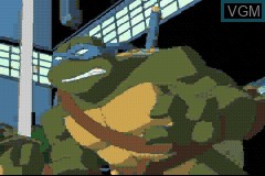 Game Boy Advance Video - Teenage Mutant Ninja Turtles - Things Change - Volume 1