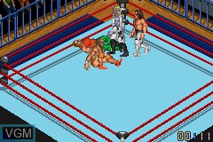 Image in-game du jeu Fire Pro Wrestling 2 sur Nintendo GameBoy Advance