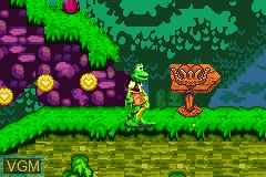 Image in-game du jeu Frogger Advance - The Great Quest sur Nintendo GameBoy Advance