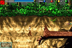 Image in-game du jeu Jurassic Park III - The DNA Factor sur Nintendo GameBoy Advance