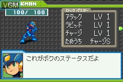 Mega Man Battle Network 5 - Team Colonel