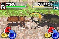 Image in-game du jeu Konchuu Ouja Mushiking - Greatest Champion e no Michi sur Nintendo GameBoy Advance