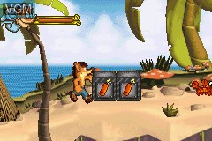 Image in-game du jeu Crash of the Titans sur Nintendo GameBoy Advance
