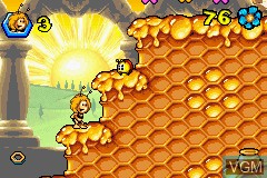 Die Biene Maja - Klatschmohnwiese in Gefahr