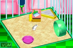 Image in-game du jeu Kawaii Hamster sur Nintendo GameBoy Advance