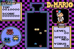 Image in-game du jeu Classic NES Series - Dr. Mario sur Nintendo GameBoy Advance