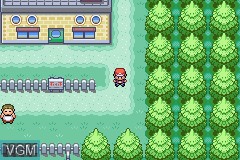 Image in-game du jeu Pokemon LeafGreen Version sur Nintendo GameBoy Advance