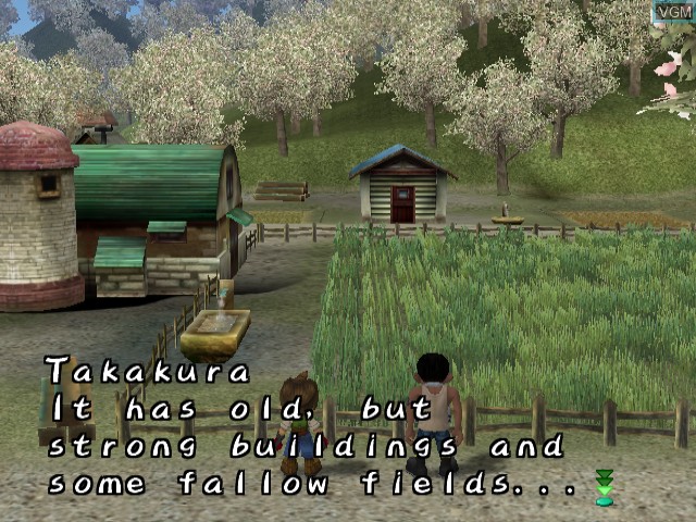 Image du menu du jeu Harvest Moon - A Wonderful Life sur Nintendo GameCube