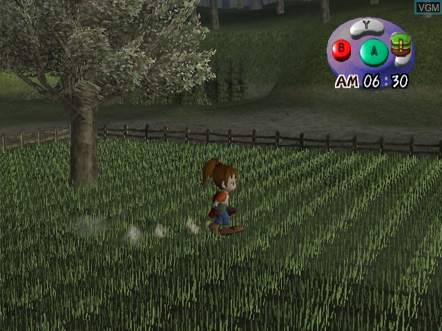 Image in-game du jeu Harvest Moon - Another Wonderful Life sur Nintendo GameCube
