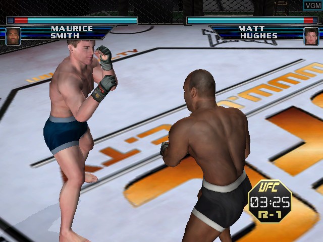Image in-game du jeu Ultimate Fighting Championship - Throwdown sur Nintendo GameCube