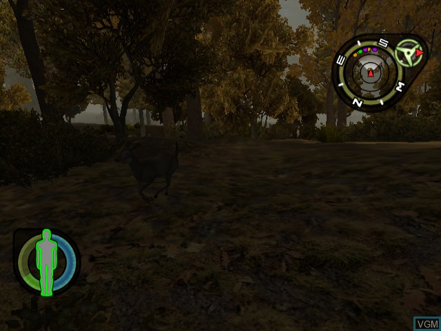 Image in-game du jeu Cabela's Outdoor Adventures sur Nintendo GameCube