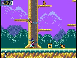 Image in-game du jeu Deep Duck Trouble Starring Donald Duck sur Sega Master System