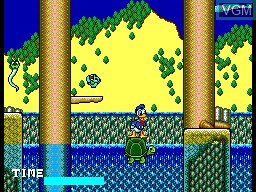 Image in-game du jeu Lucky Dime Caper Starring Donald Duck, The sur Sega Master System