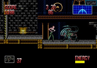Image in-game du jeu Alien 3 sur Sega Megadrive