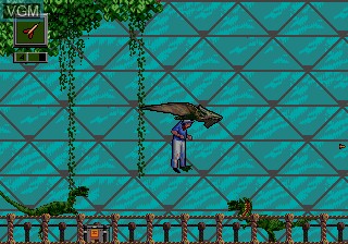 Image in-game du jeu Jurassic Park - Rampage Edition sur Sega Megadrive