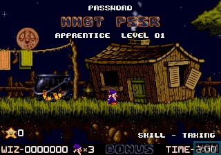 Image in-game du jeu Wiz 'n' Liz - The Frantic Wabbit Wescue sur Sega Megadrive