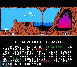 Image du menu du jeu Toki sur Nintendo NES