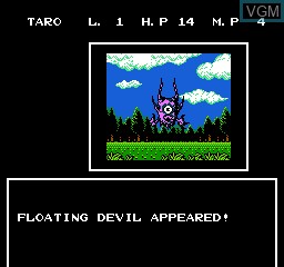 Taro's Quest