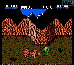 Image in-game du jeu Battletoads sur Nintendo NES