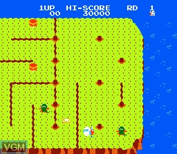 Image in-game du jeu Dig Dug II - Trouble In Paradise sur Nintendo NES