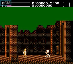 Image in-game du jeu Faxanadu sur Nintendo NES