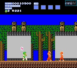 Image in-game du jeu Flying Dragon - The Secret Scroll sur Nintendo NES