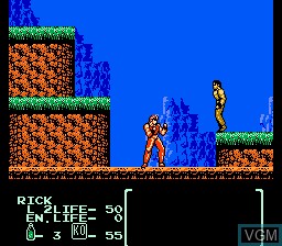 Image in-game du jeu Flying Warriors sur Nintendo NES
