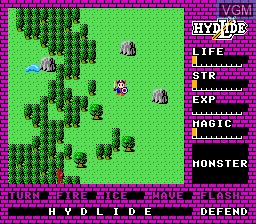 Image in-game du jeu Hydlide sur Nintendo NES