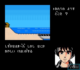 Image in-game du jeu Kujaku Ou sur Nintendo NES