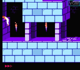 Image in-game du jeu Prince of Persia sur Nintendo NES