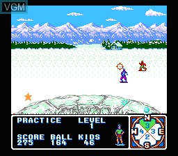 Image in-game du jeu Ski or Die sur Nintendo NES
