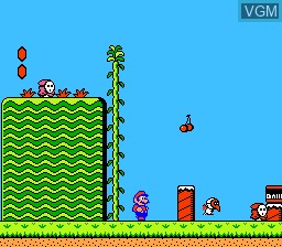 Image in-game du jeu Super Mario Bros. 2 sur Nintendo NES