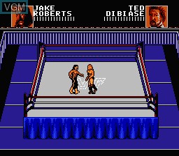 Image in-game du jeu WWF WrestleMania - Steel Cage Challenge sur Nintendo NES