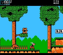 Image in-game du jeu Asterix sur Nintendo NES