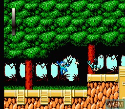 Image in-game du jeu Mega Man 6 sur Nintendo NES