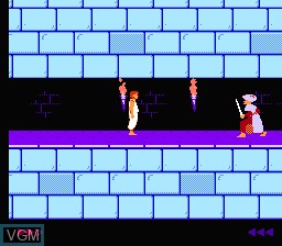 Image in-game du jeu Prince of Persia sur Nintendo NES