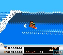 Image in-game du jeu T&C Surf Designs - Wood & Water Rage sur Nintendo NES
