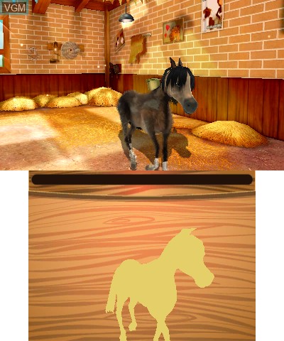 My Foal 3D