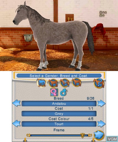 Image in-game du jeu 2in1 - Horses 3D sur Nintendo 3DS