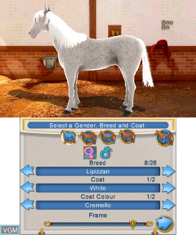 Image in-game du jeu 2in1 Horses 3D - My Foal 3D + My Riding Stables 3D - Rivals in the Saddle sur Nintendo 3DS