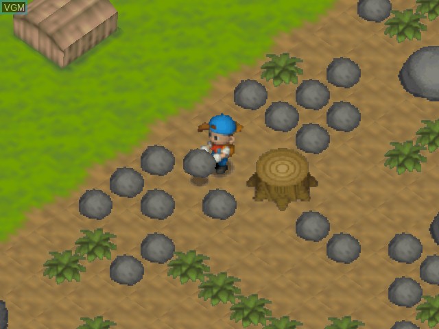 Image in-game du jeu Harvest Moon 64 sur Nintendo 64