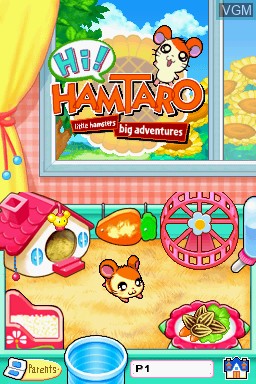 Image de l'ecran titre du jeu Hi! Hamtaro - Little Hamsters Big Adventures - Ham-Ham Challenge sur Nintendo DS
