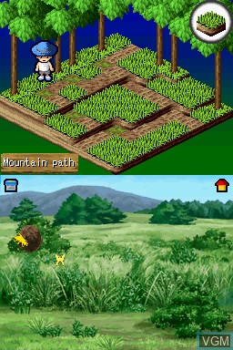 Image in-game du jeu Simple DS Series Vol. 3 - The Mushitori Oukoku - Shinshu Hakken! Nokogiri Kabuto!? sur Nintendo DS