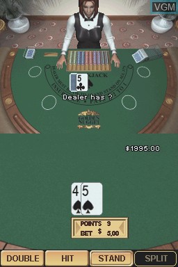 Image in-game du jeu Golden Nugget Casino DS sur Nintendo DS