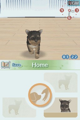 Image in-game du jeu Nintendogs - Chihuahua & Friends sur Nintendo DS