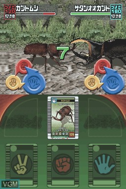 Image in-game du jeu Kouchuu Ouja Mushi King - Greatest Champion e no Michi DS sur Nintendo DS