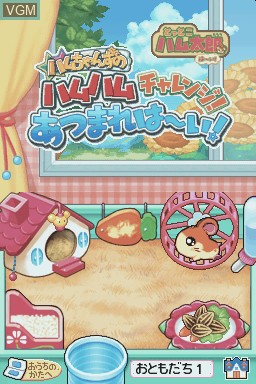 Image in-game du jeu Tottoko Hamtaro Haai! Hamu-Chans no Hamu Hamu Challenge! Atsumare Haai! sur Nintendo DS