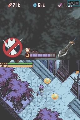 Image in-game du jeu Lunar Knights sur Nintendo DS