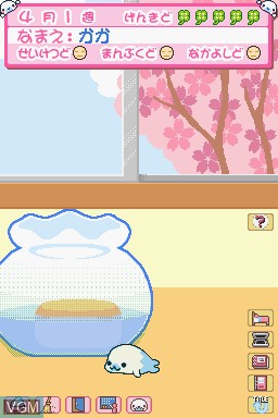 Image in-game du jeu Mame Goma - Honobono Nikki sur Nintendo DS