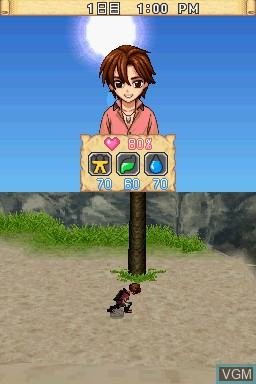 Image in-game du jeu Survival Kids - Chiisana Shima no Ookina Himitsu!? sur Nintendo DS